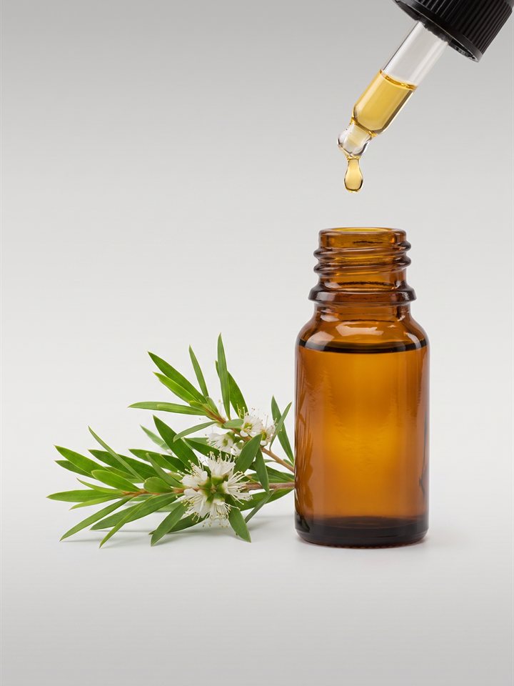 Tea Tree Oil